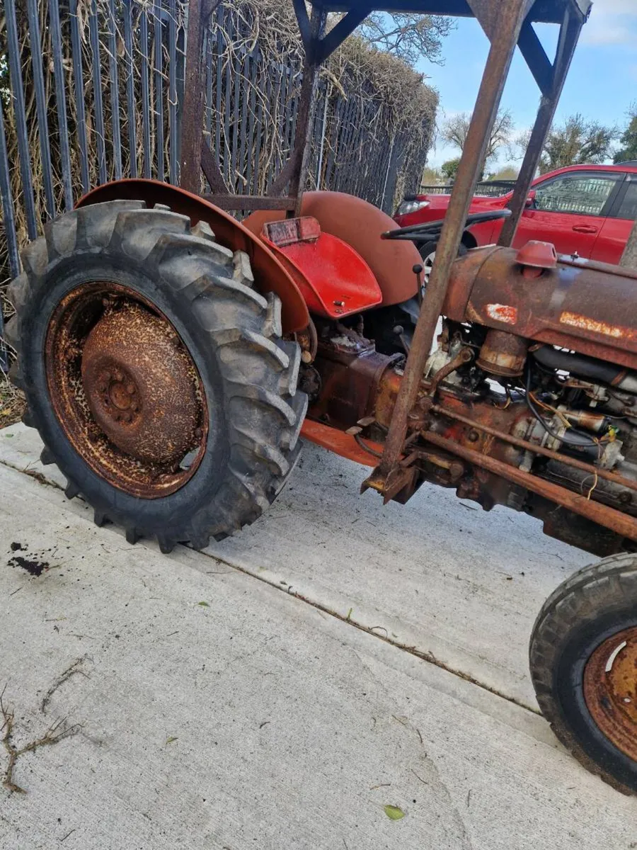 Massey ferguson 35 (Barn find) - Image 2