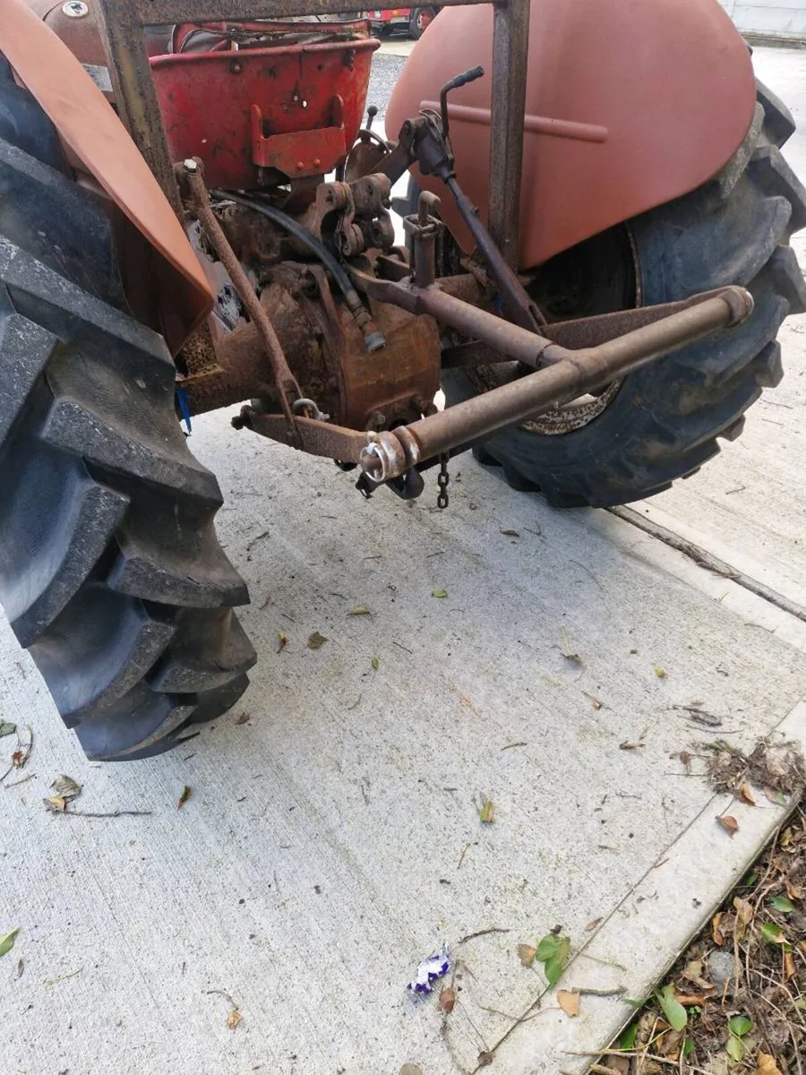 Massey ferguson 35 (Barn find) - Image 3