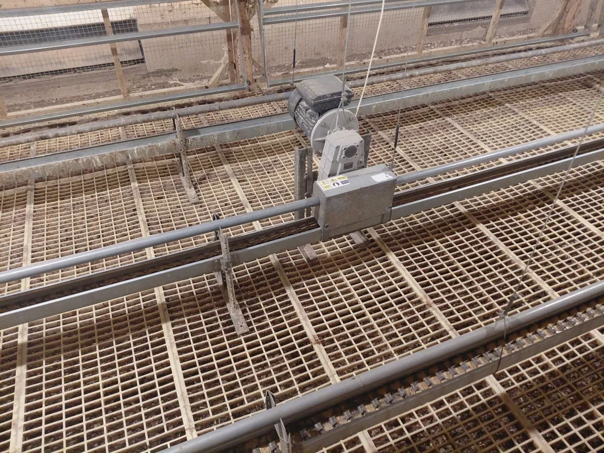 Poultry equipment - Image 1