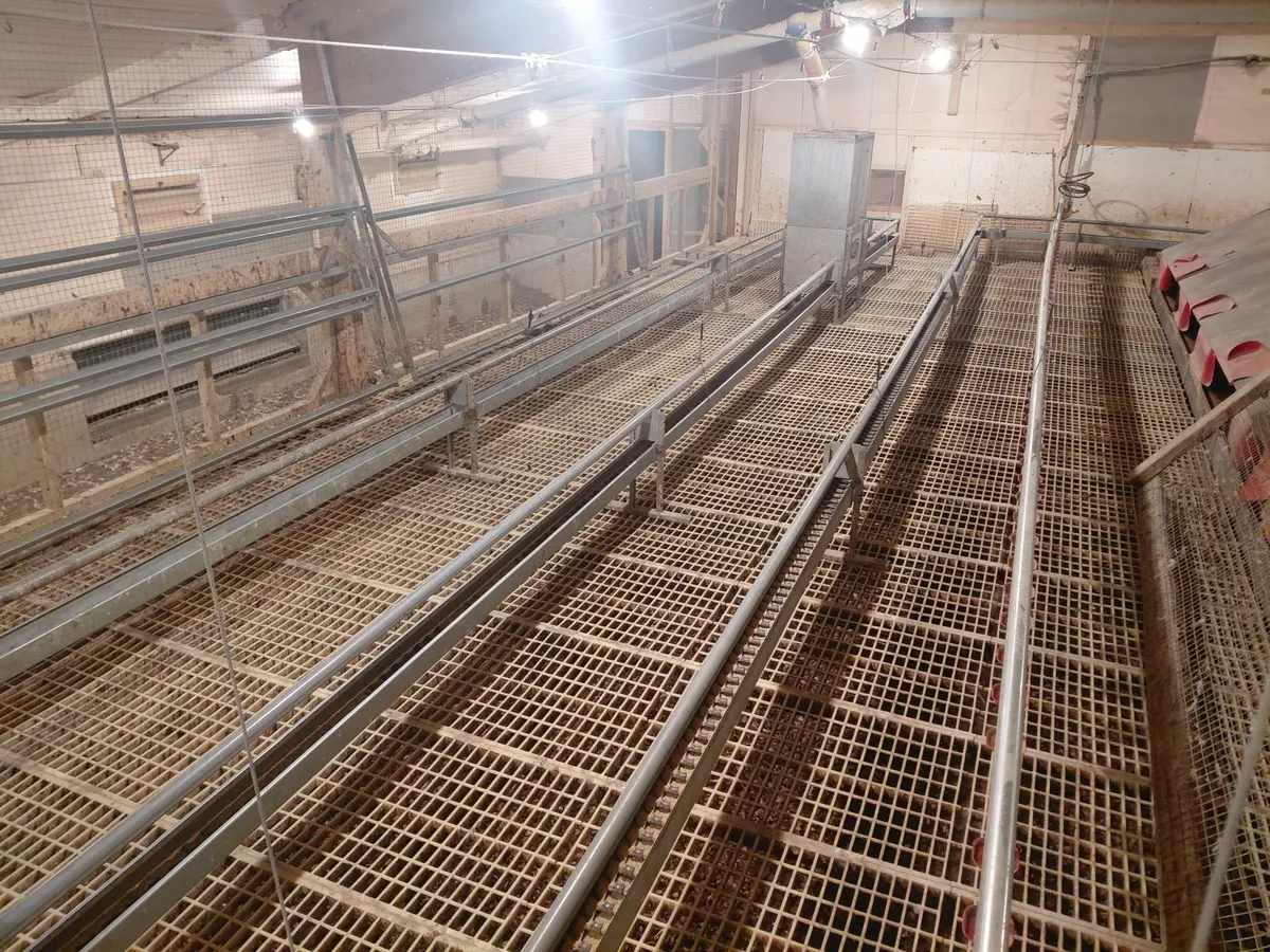 Poultry equipment - Image 2