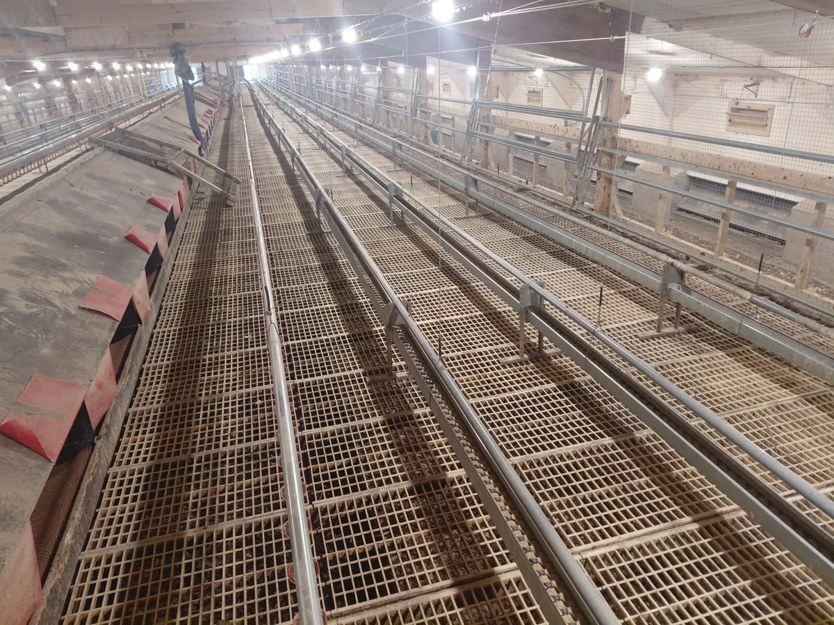 Poultry equipment - Image 3