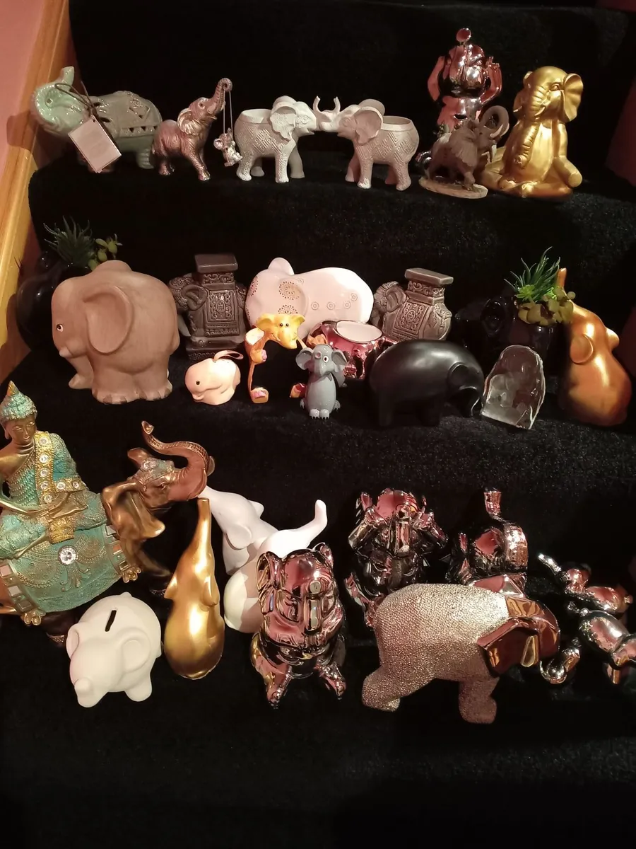 Elephant collection - Image 1