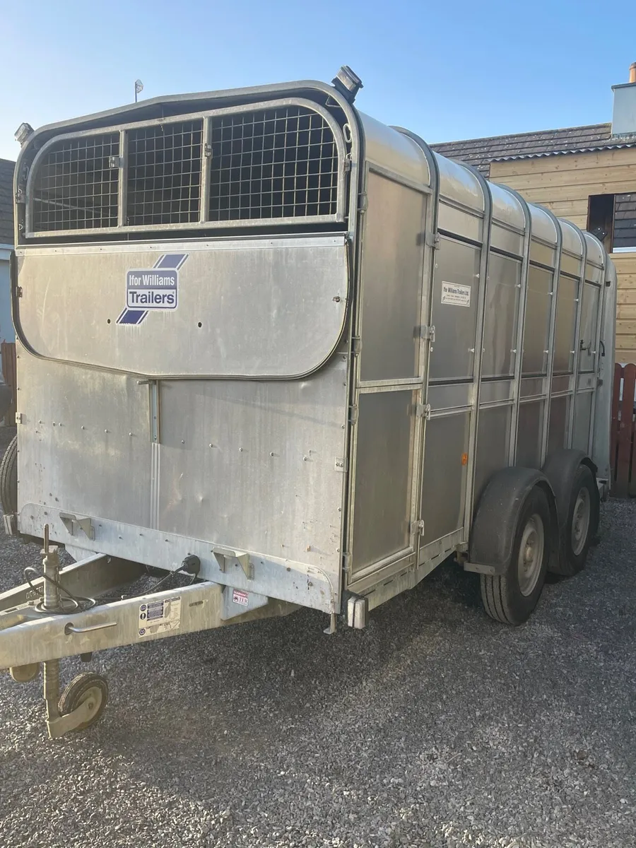 2023 Ifor Williams 12x6 cattle trailer - Image 3