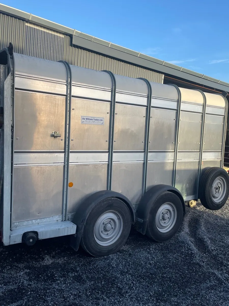 2023 Ifor Williams 12x6 cattle trailer - Image 4