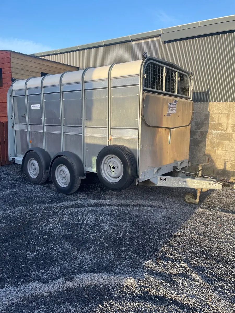 2023 Ifor Williams 12x6 cattle trailer - Image 1