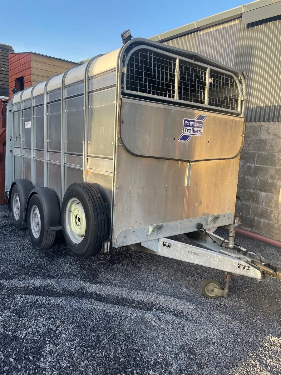 2023 Ifor Williams 12x6 cattle trailer - Image 2