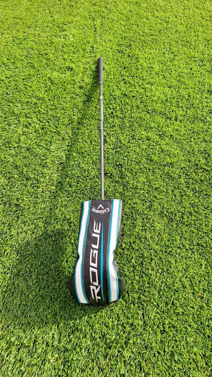 Left hand driver - Image 1