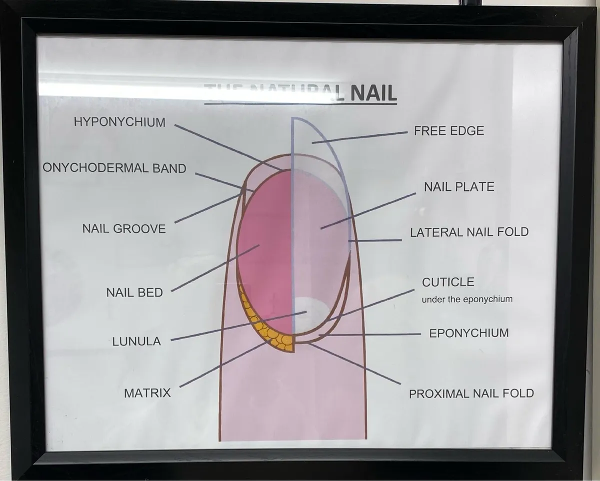 Hair and Beauty - Image 4