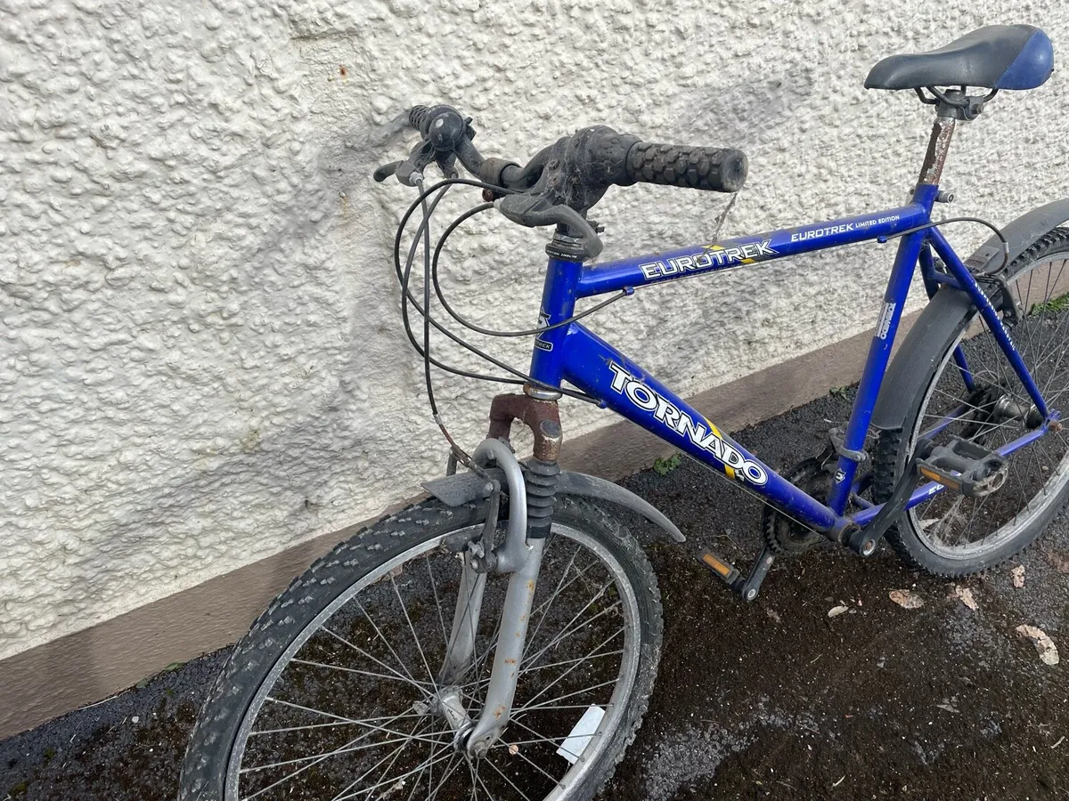 Free Men’s Bike - Image 2