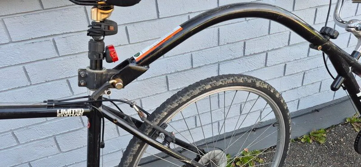 Tag along bike - Image 3