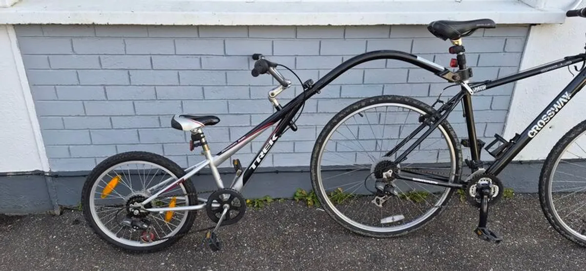 Tag along bike - Image 4