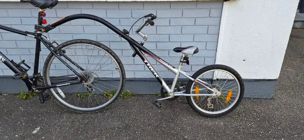 Tag along bike - Image 1