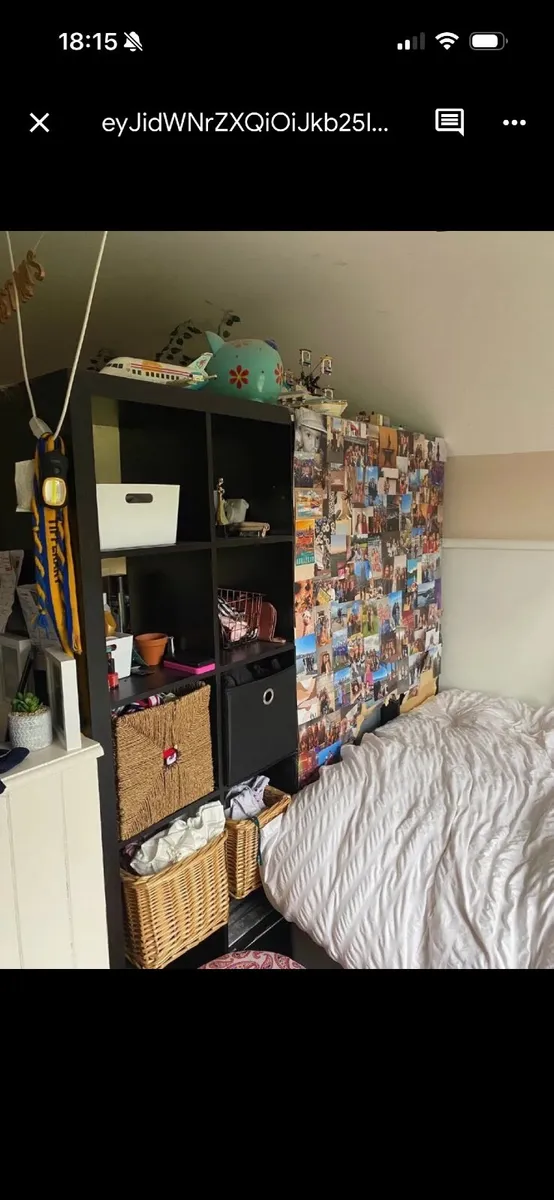 Storage Shelves - Image 3