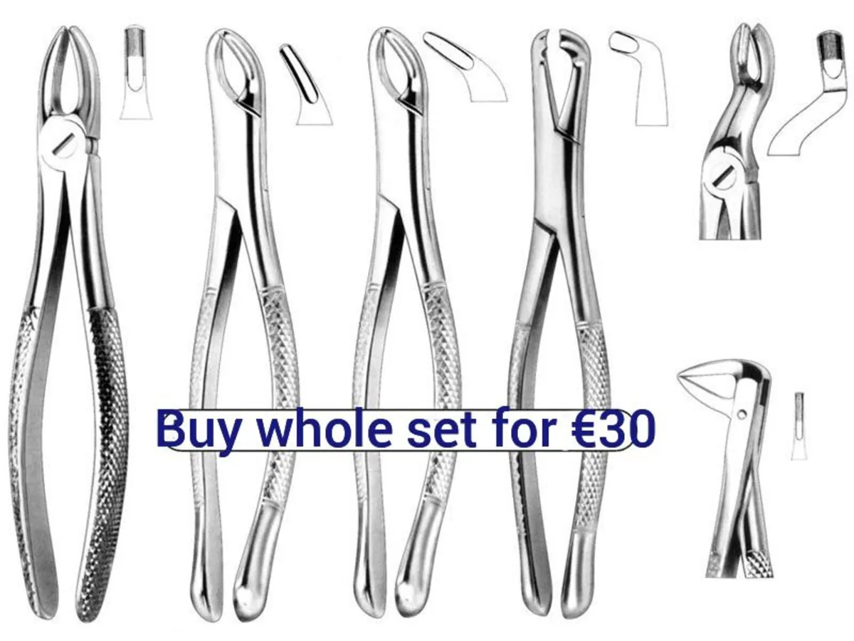 Dental Extraction Forceps - Image 1