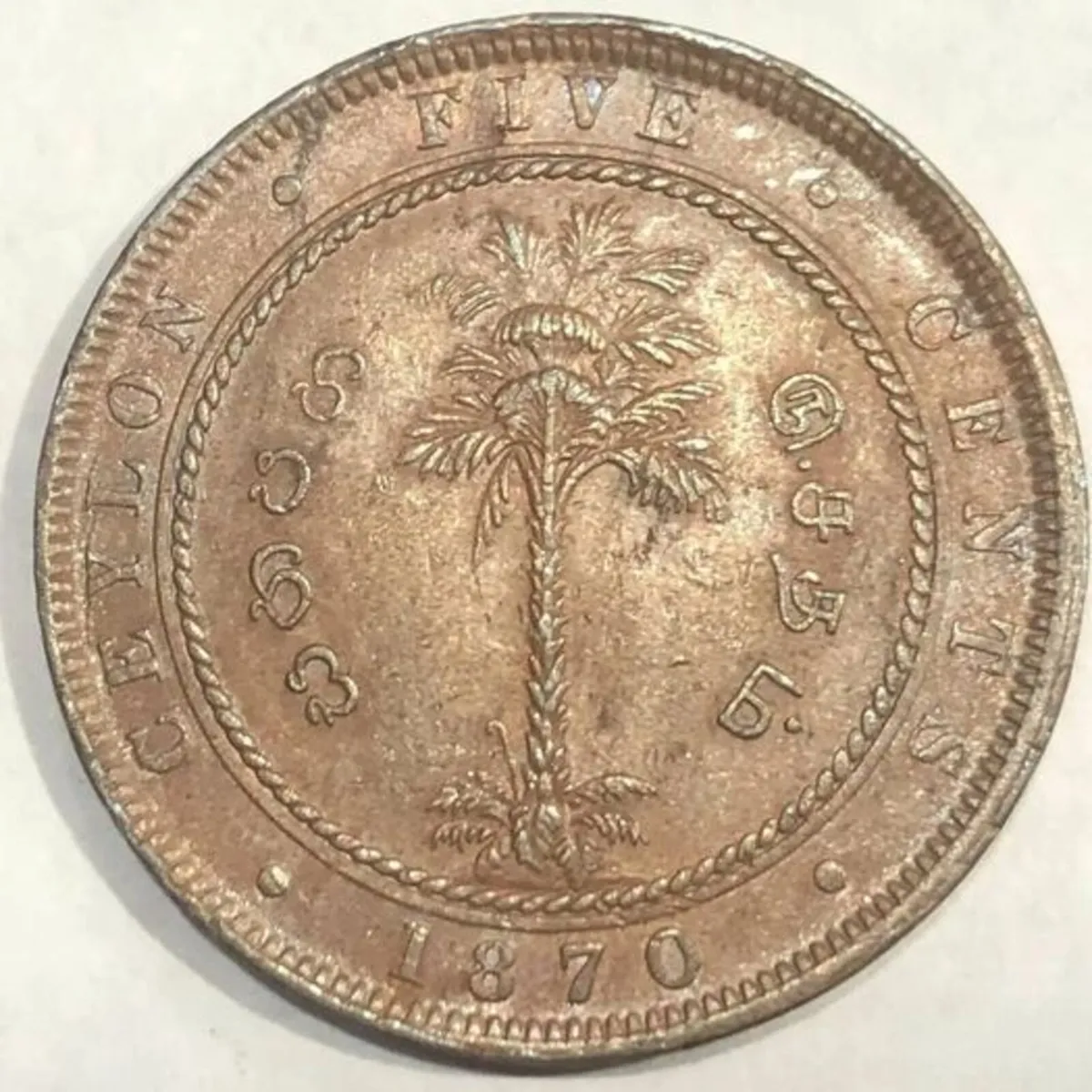 Q Victoria Ceylon 5 Cents 1870 - Image 2