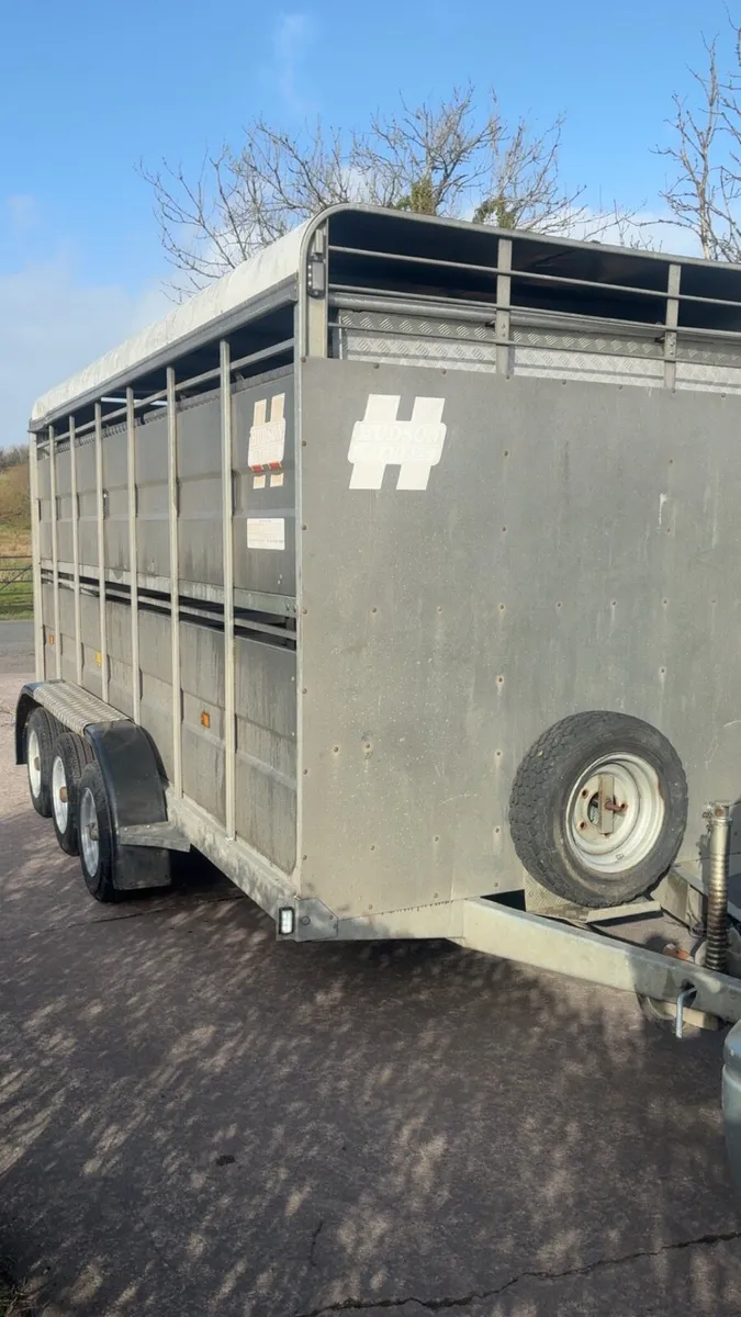Hudson Cattle / Sheep Trailer - Image 2