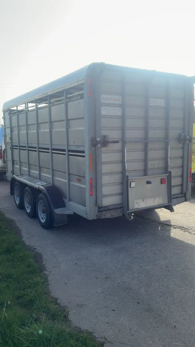 Hudson Cattle / Sheep Trailer - Image 4