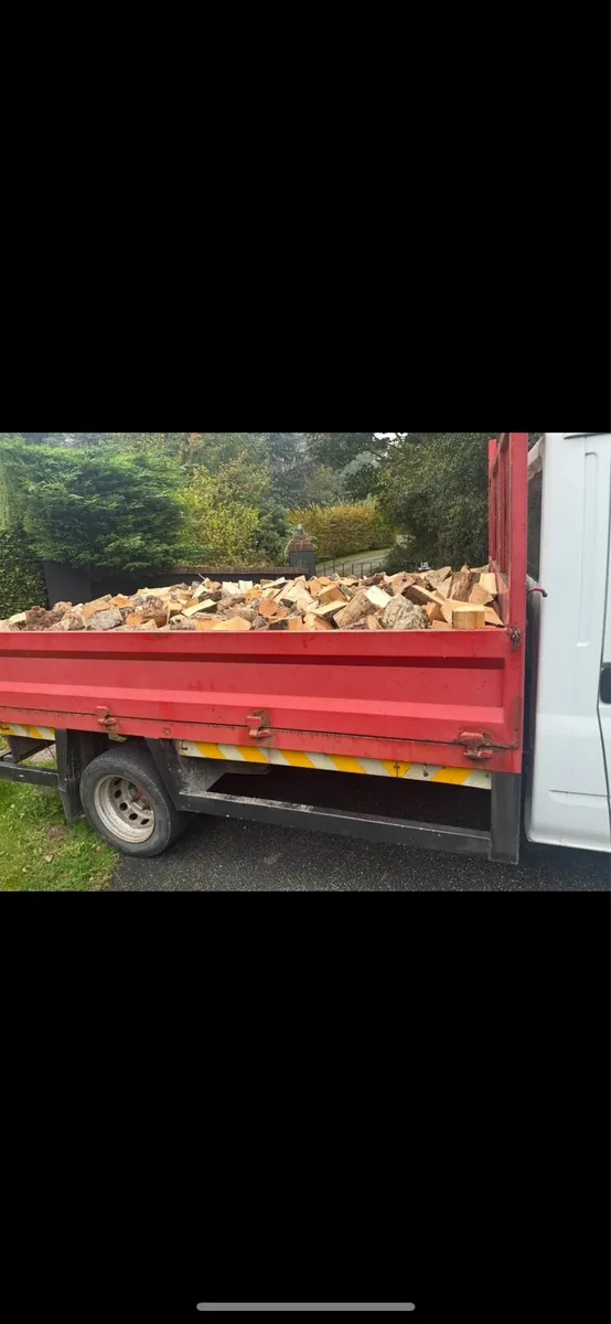 Hardwood Logs - Image 4