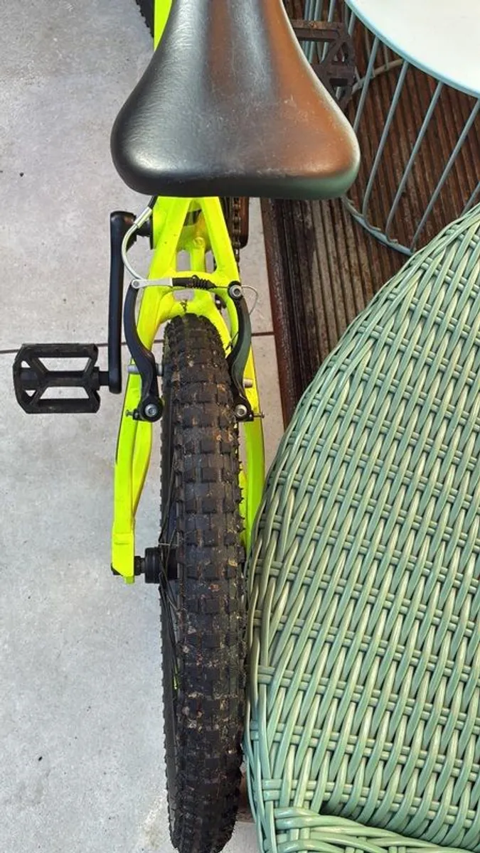 20 inch Bike - Image 2