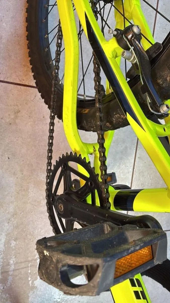 20 inch Bike - Image 3