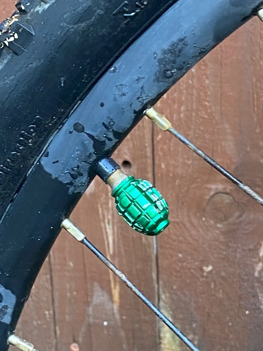 Carrera vengeance - Image 2