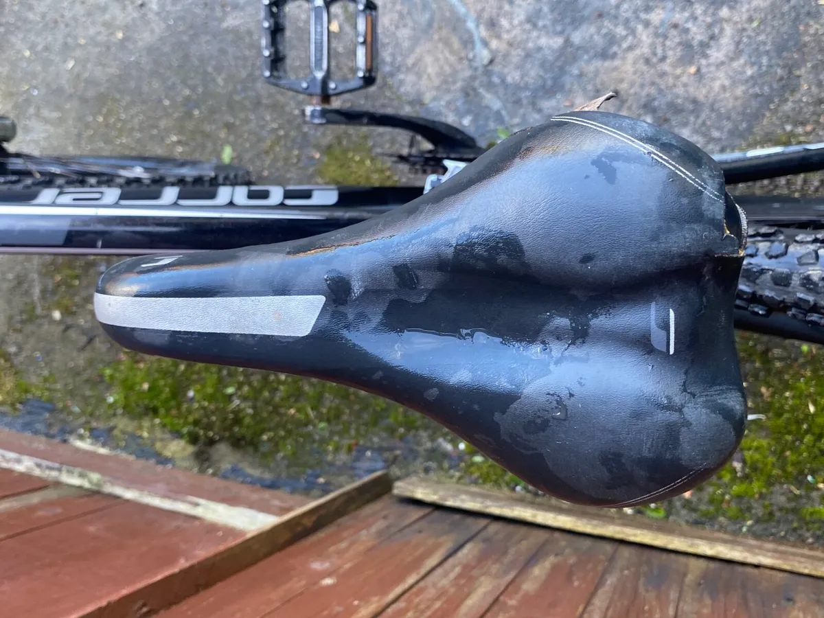 Carrera vengeance - Image 3