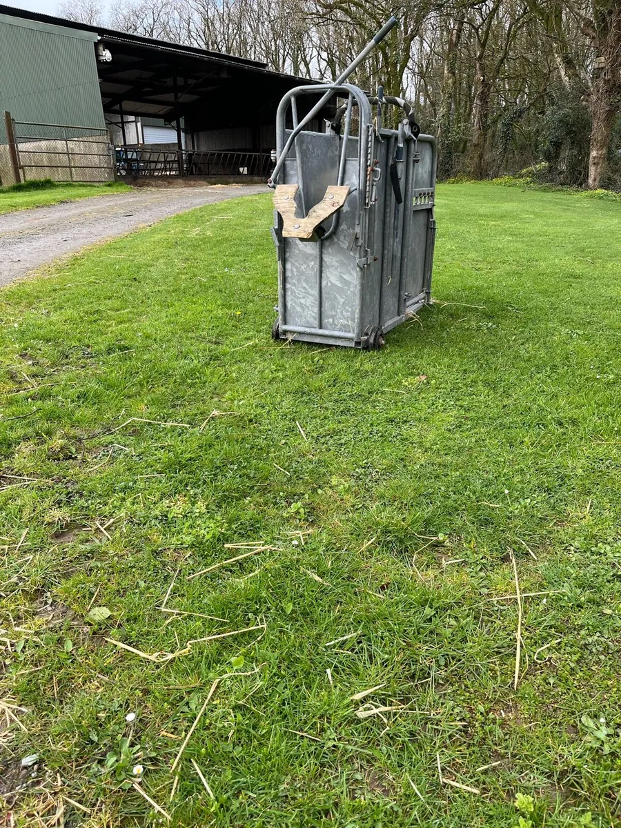 Dehorning Crate - Image 1