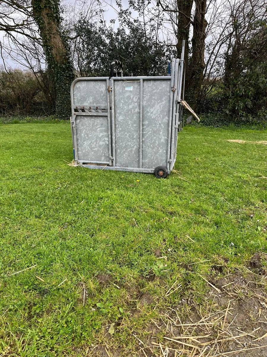 Dehorning Crate - Image 3