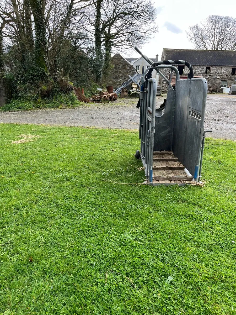 Dehorning Crate - Image 2