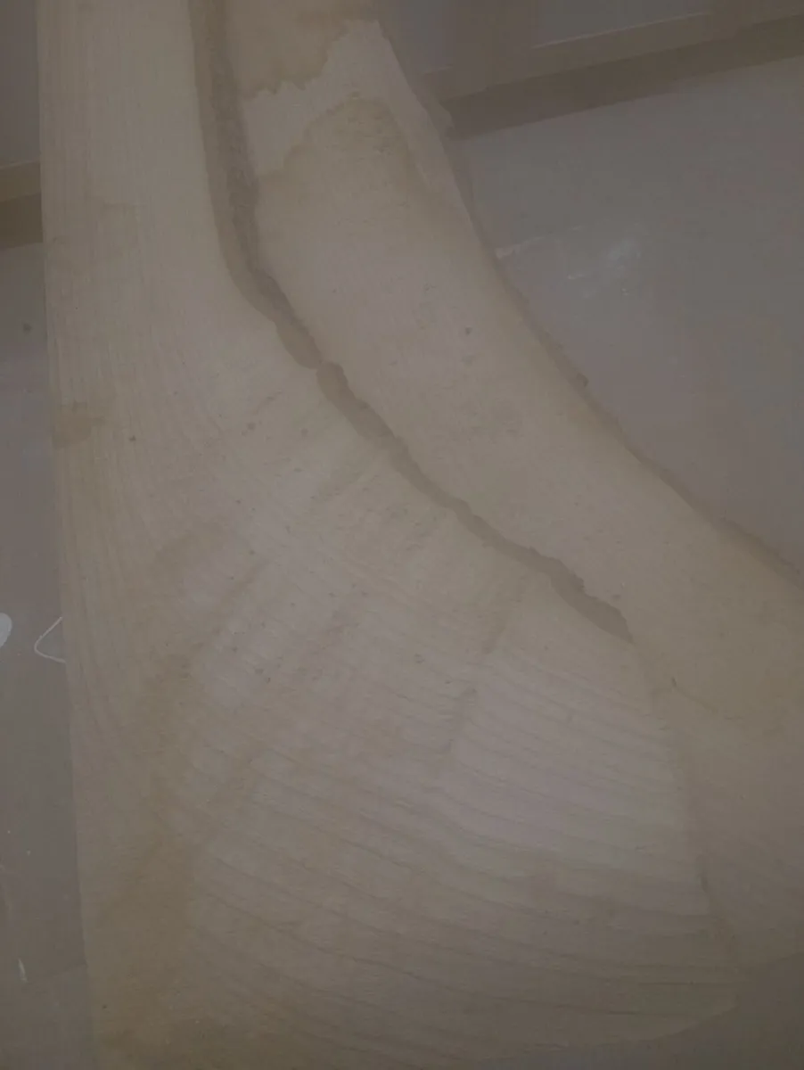 Hurley Ash Planks - Image 3