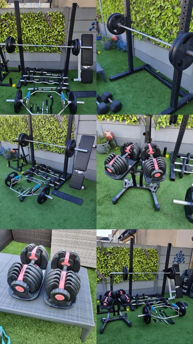 Professional gym equipment - Image 2