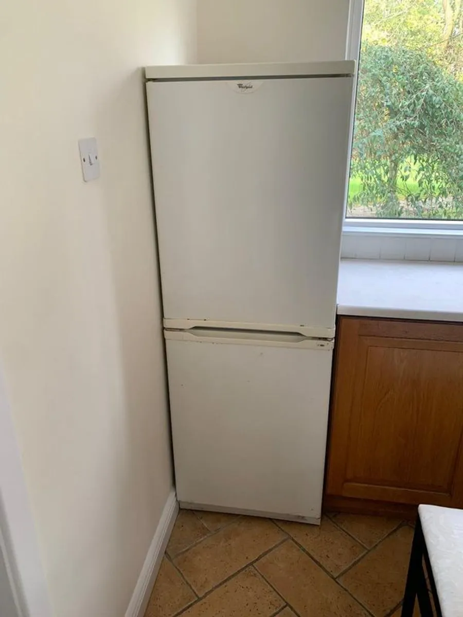 Free standing fidge, very good condition