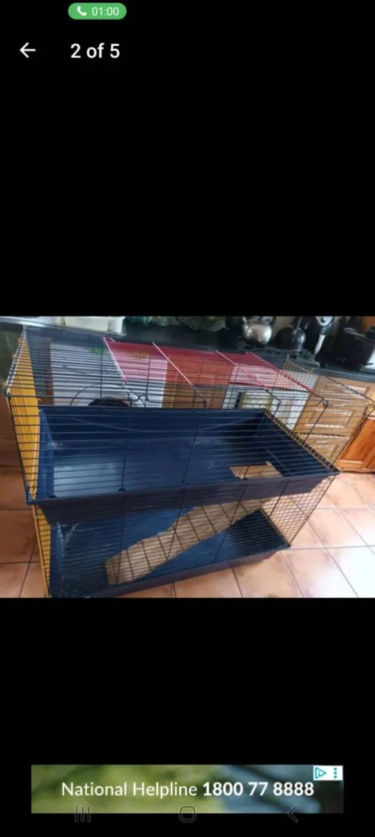 Two rabbits big cage and accessories - Image 1