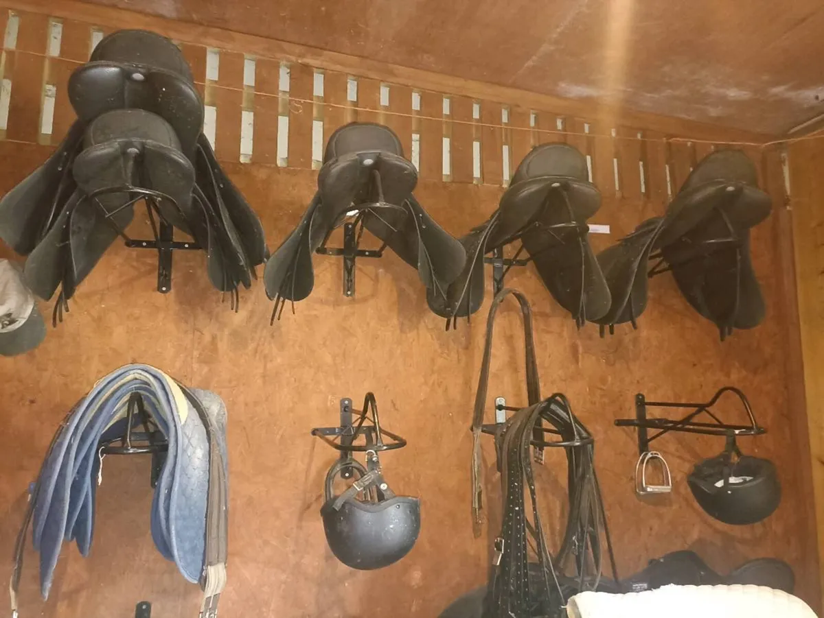 Wintec Saddles - Image 3