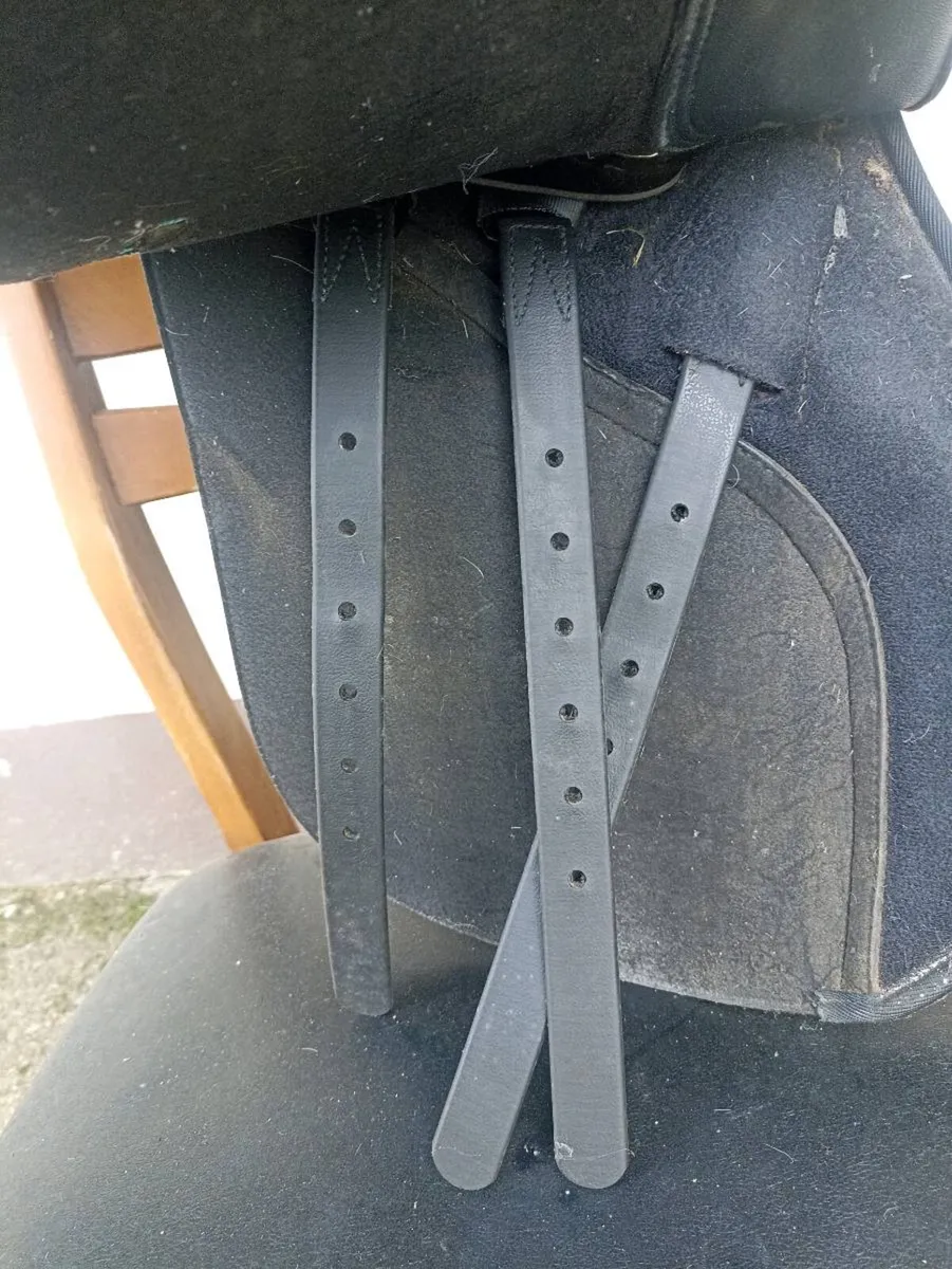 Wintec Saddles - Image 4