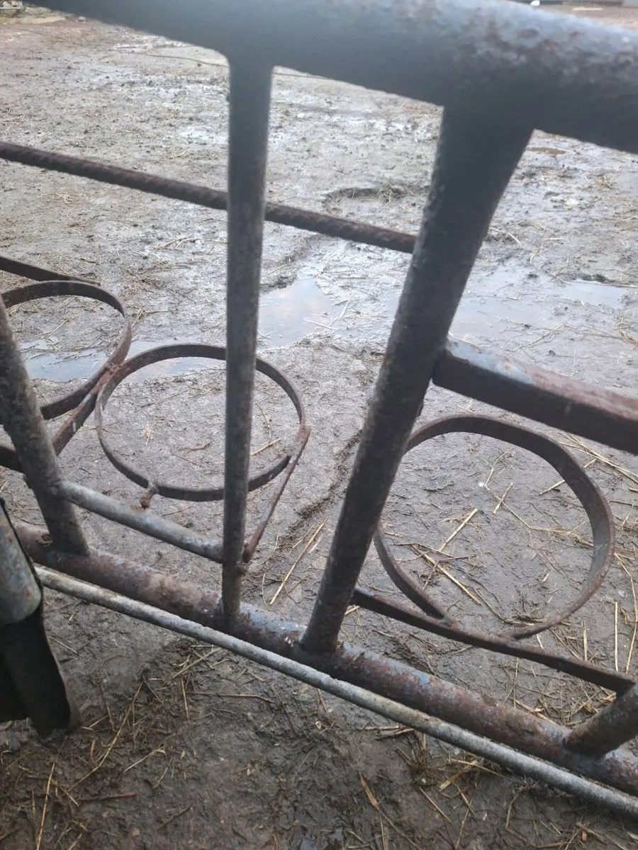 Calf gate - Image 2