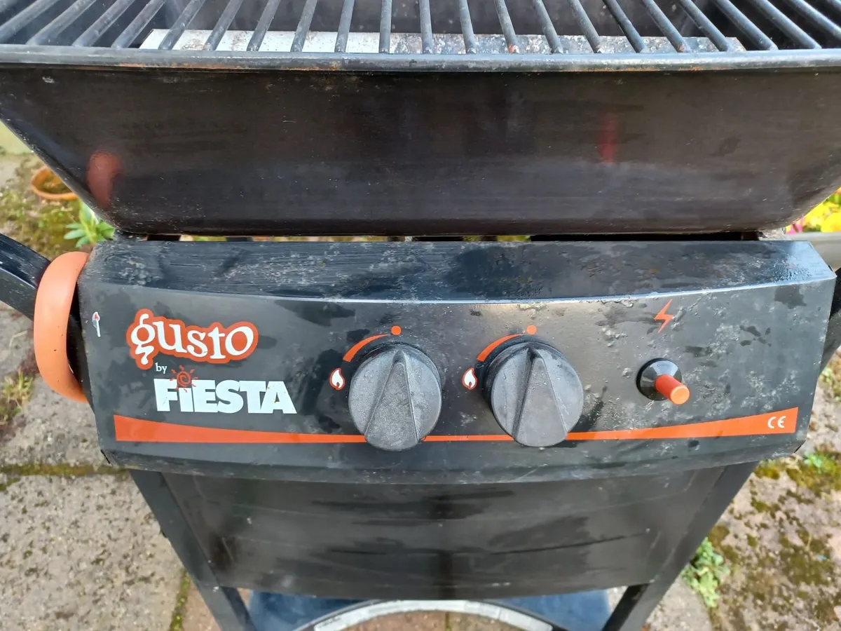 Gas Barbecue - Image 3