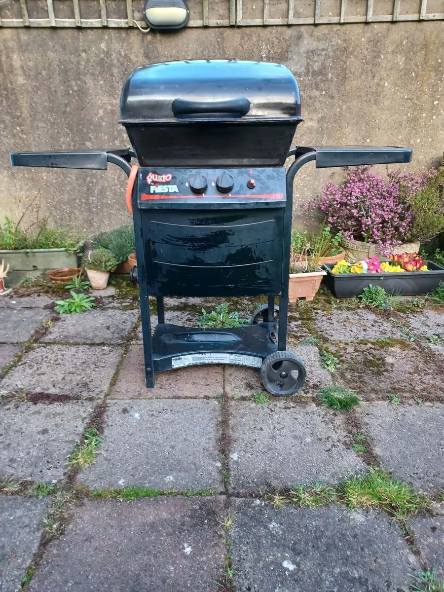 Gas Barbecue - Image 1