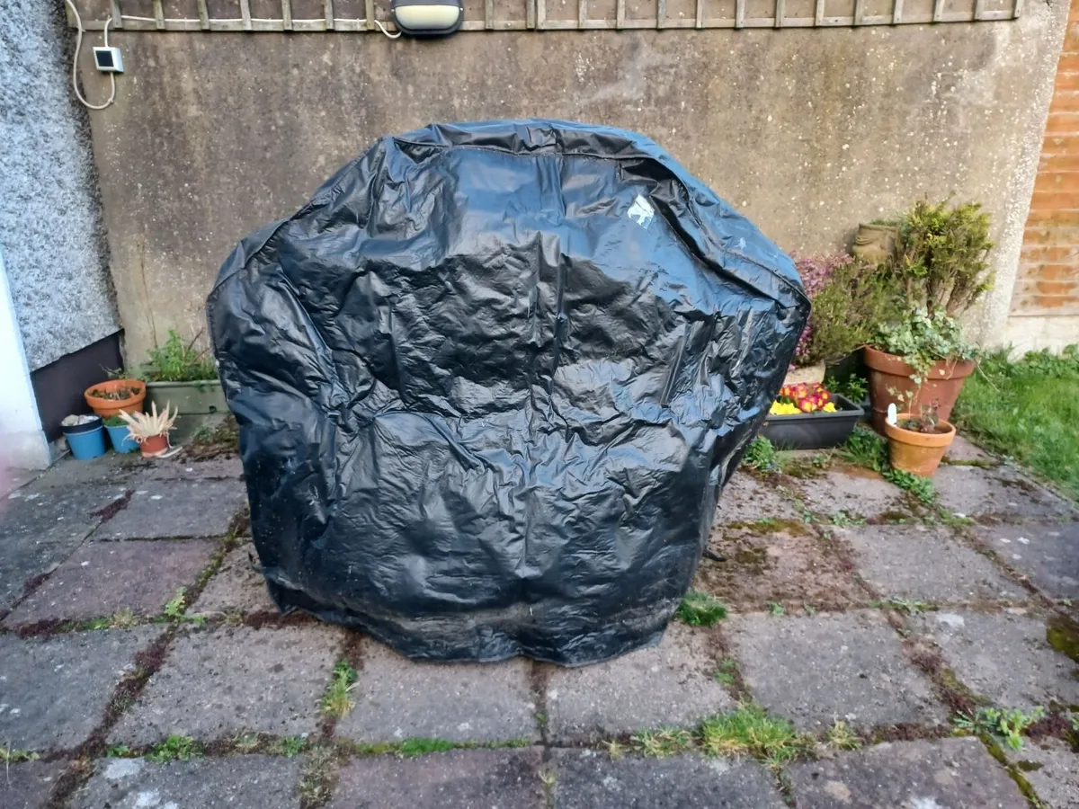 Gas Barbecue - Image 4