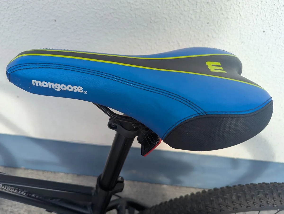 Adult Mountain Bike - Image 2