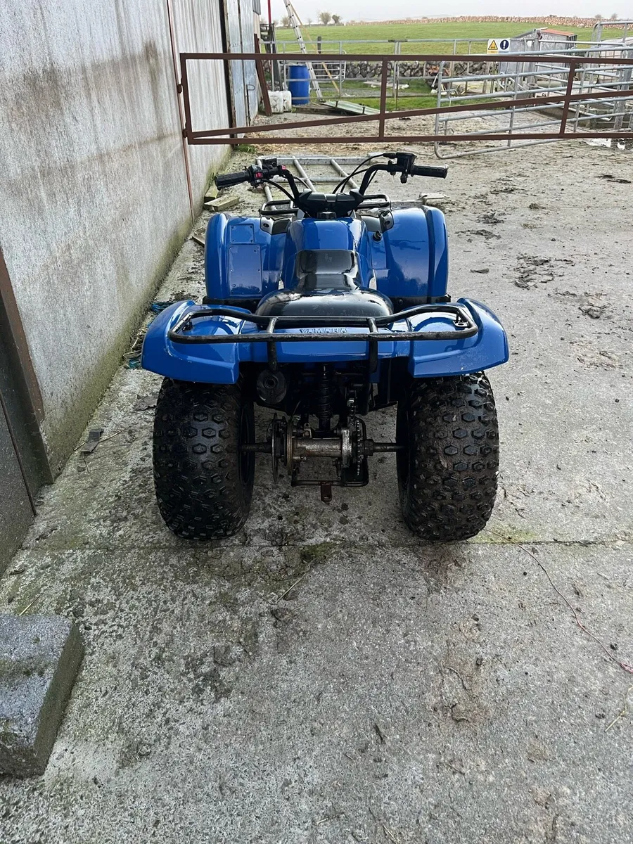Yamaha grizzly 125 - Image 3