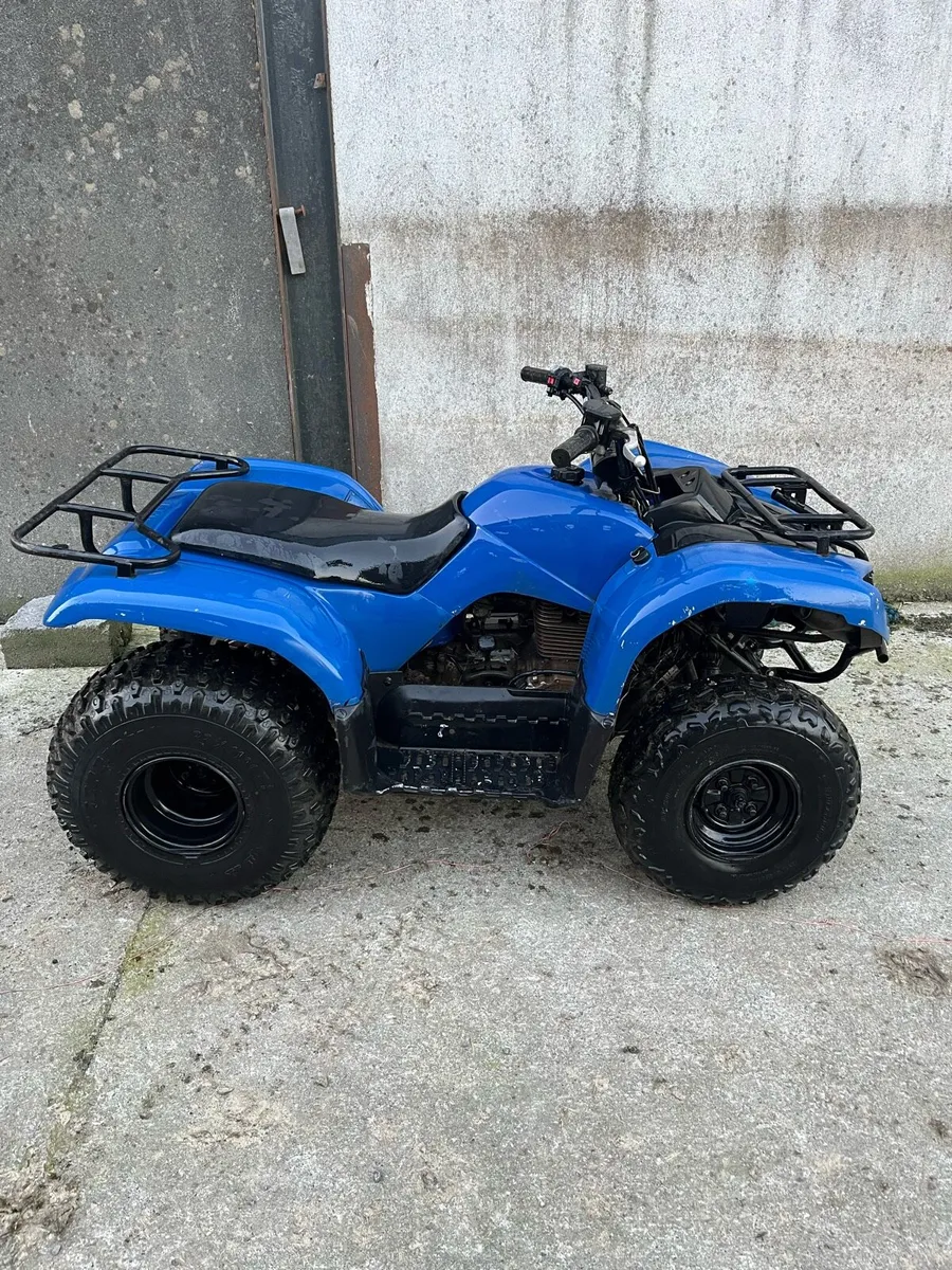 Yamaha grizzly 125 - Image 4