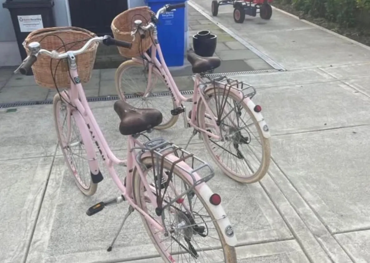 Ladies Raleigh Willow Bike - Image 3