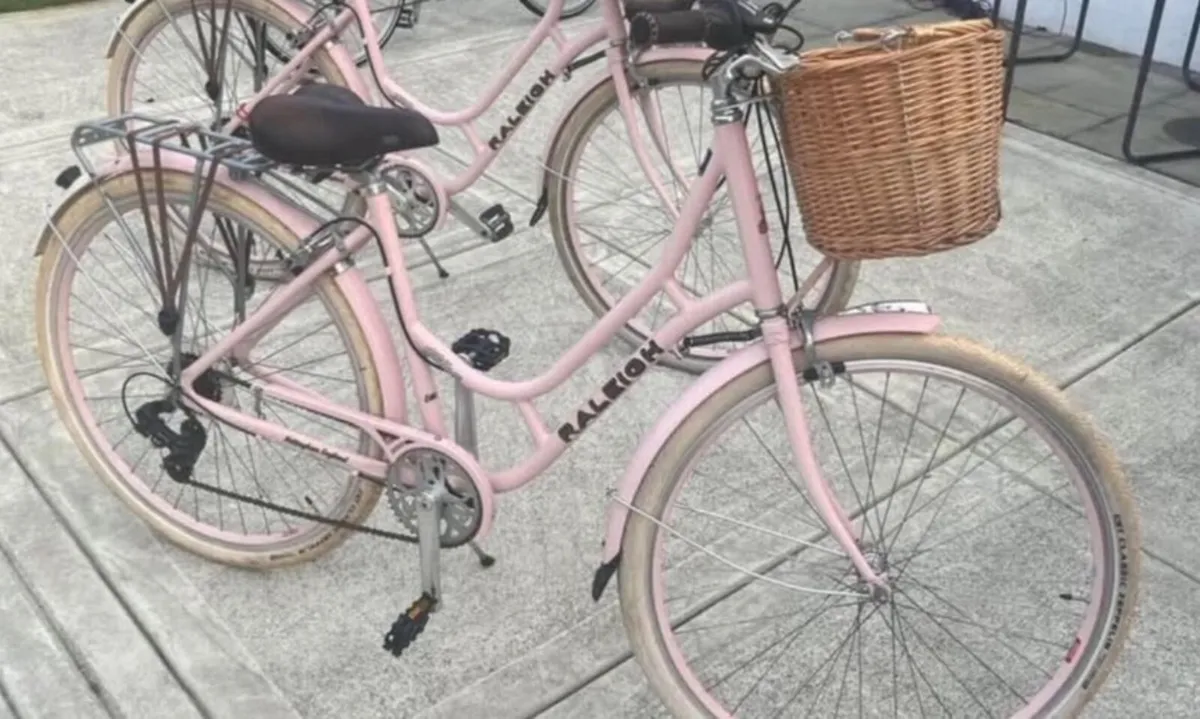 Ladies Raleigh Willow Bike - Image 1