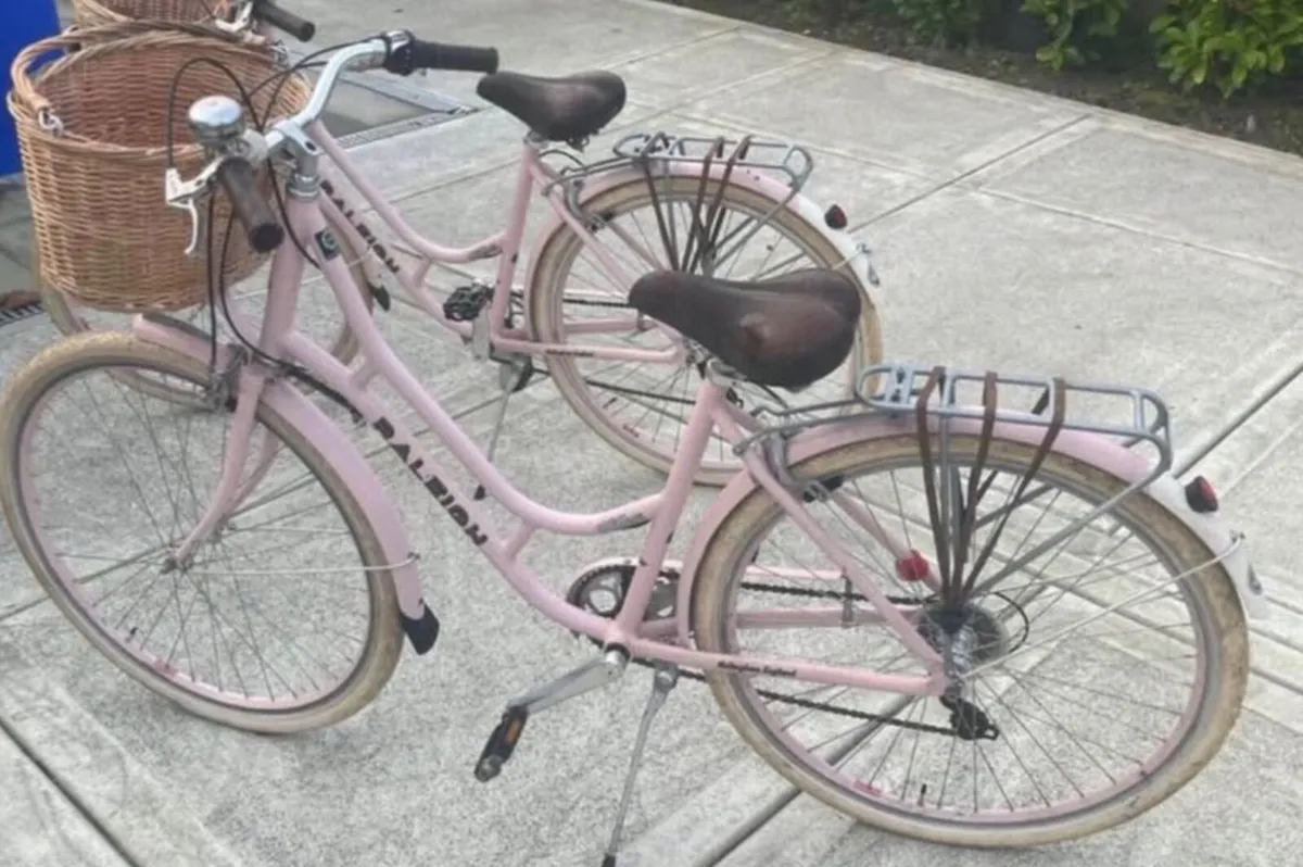 Ladies Raleigh Willow Bike - Image 2