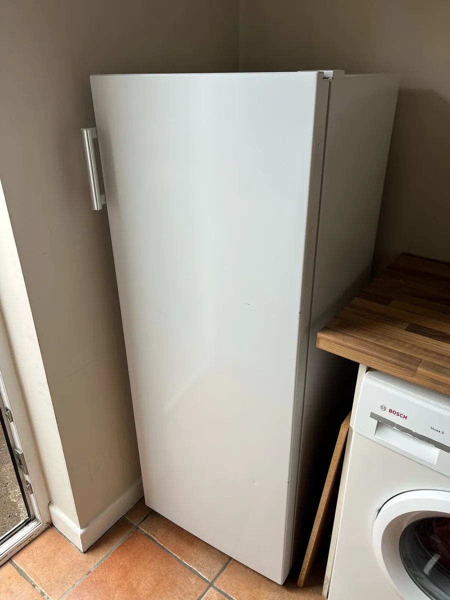 Tall Freezer - Image 1