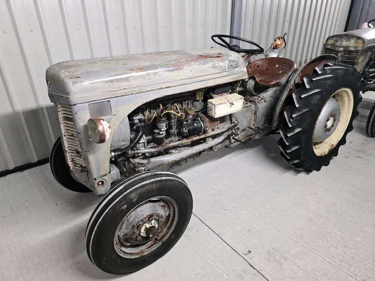 Vineyard grey fergie vintage tractors - Image 1