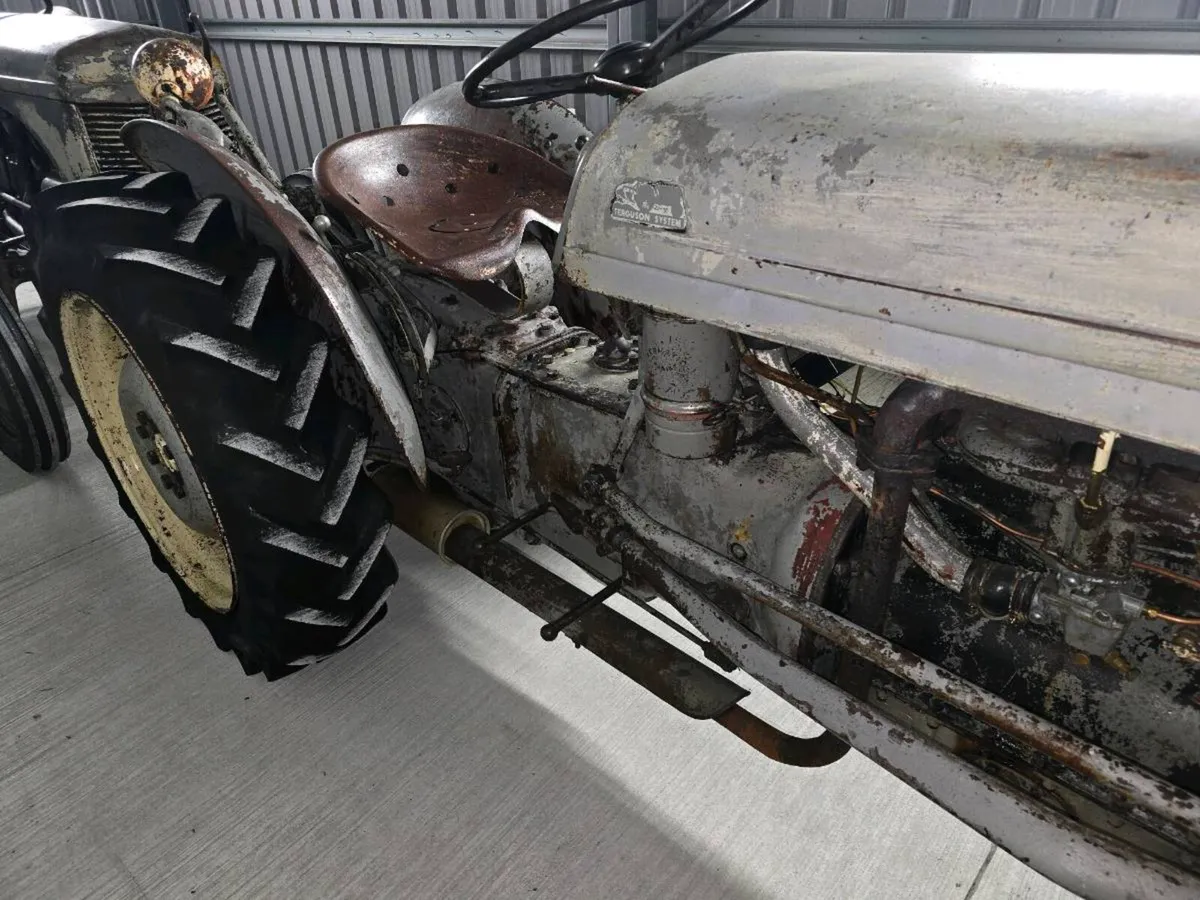 Vineyard grey fergie vintage tractors - Image 3