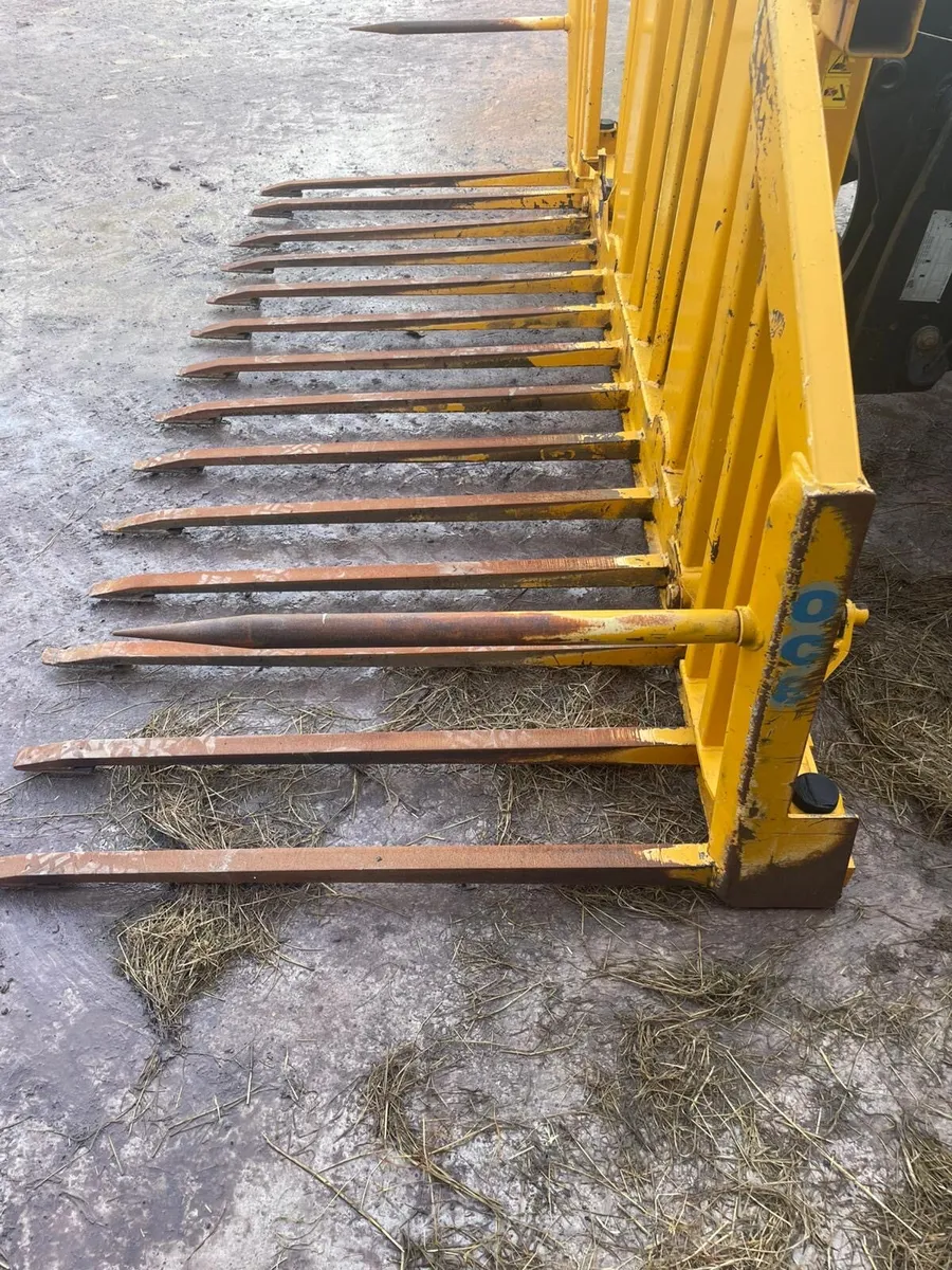 OCE silage pike for sale - Image 4