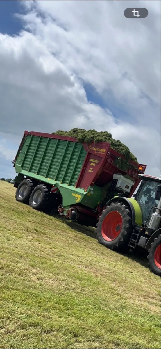 Strautman wagon - Image 1